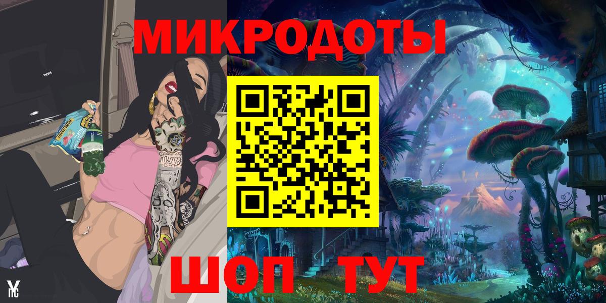 Псилоцибиновые грибы Psilocybe Геленджик